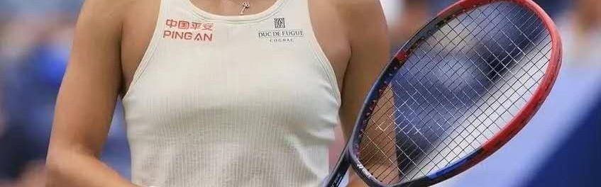 开云体育官网-王雅繁因伤退出澳网，中国女单仅剩两人，梅总进决赛迎城市定律
