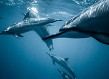 开云官网-三镇上下：扳平后还想再反超 从明天起练得更刻苦！